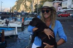 Labrador retriever dell'isola azzurra farm Capri